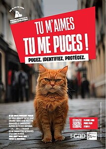 Chat I-cad