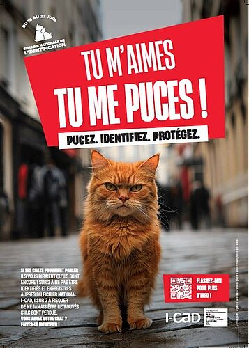 Chat I-cad