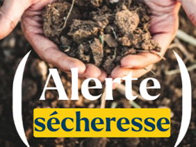 Alerte sécheresse