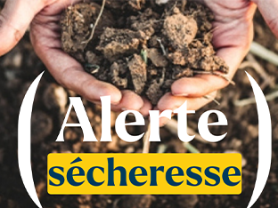 Alerte sécheresse