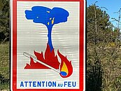 Forêt